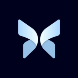 Morpho Blue